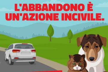 Non abbandonate gli animali